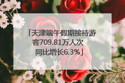 天津端午假期接待游客709.81万人次 同比增长6.3%