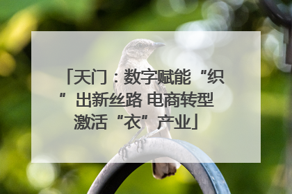天门：数字赋能“织”出新丝路 电商转型激活“衣”产业