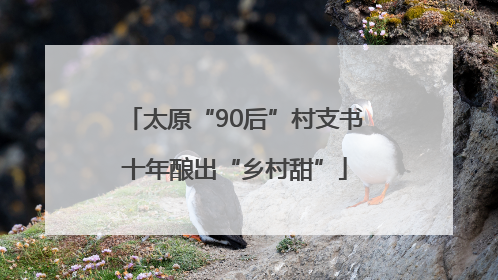 太原“90后”村支书十年酿出“乡村甜”