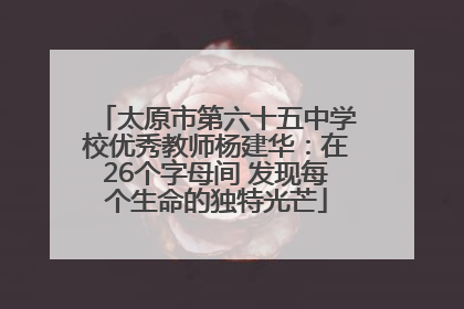 太原市第六十五中学校优秀教师杨建华：在26个字母间 发现每个生命的独特光芒