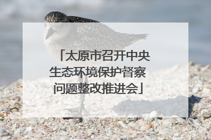 太原市召开中央生态环境保护督察问题整改推进会