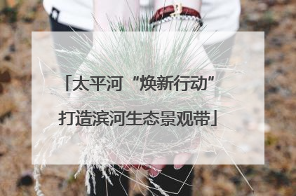 太平河“焕新行动” 打造滨河生态景观带
