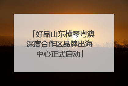 好品山东横琴粤澳深度合作区品牌出海中心正式启动