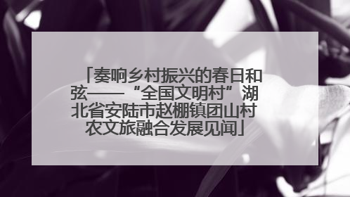 奏响乡村振兴的春日和弦——“全国文明村”湖北省安陆市赵棚镇团山村农文旅融合发展见闻