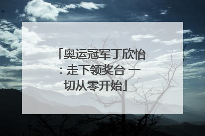 奥运冠军丁欣怡：走下领奖台 一切从零开始