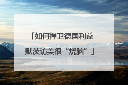 如何捍卫德国利益 默茨访美很“烧脑”