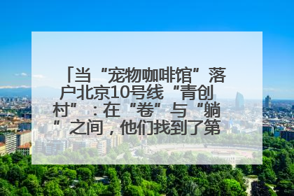 当“宠物咖啡馆”落户北京10号线“青创村”：在“卷”与“躺”之间，他们找到了第三种生活公式
