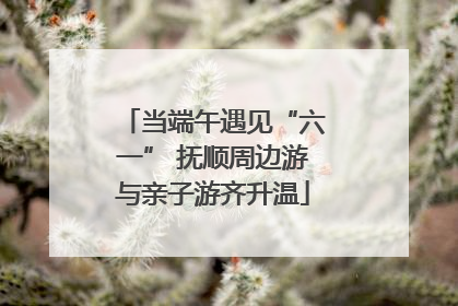当端午遇见“六一” 抚顺周边游与亲子游齐升温