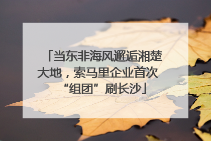 当东非海风邂逅湘楚大地，索马里企业首次“组团”刷长沙
