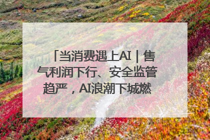 当消费遇上AI｜售气利润下行、安全监管趋严，AI浪潮下城燃企业如何破局