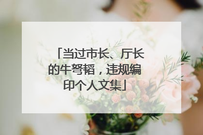 当过市长、厅长的牛弩韬，违规编印个人文集