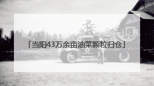 当阳43万余亩油菜颗粒归仓