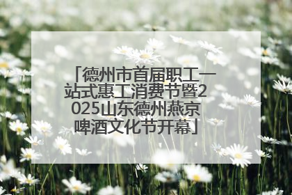 德州市首届职工一站式惠工消费节暨2025山东德州燕京啤酒文化节开幕