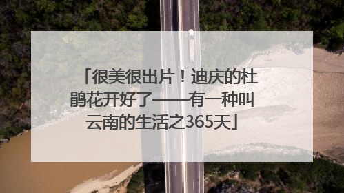 很美很出片！迪庆的杜鹃花开好了——有一种叫云南的生活之365天