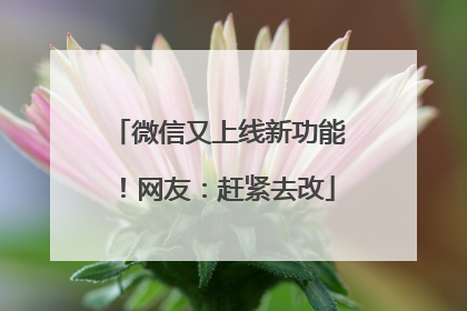 微信又上线新功能！网友：赶紧去改