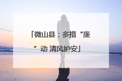 微山县：多措“廉”动 清风护安