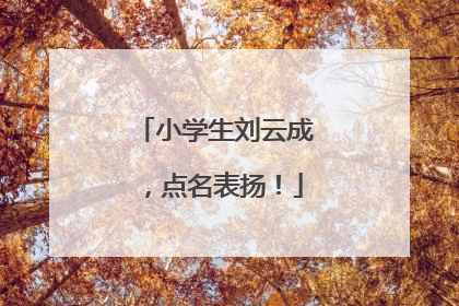 小学生刘云成，点名表扬！