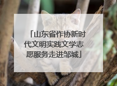 山东省作协新时代文明实践文学志愿服务走进邹城