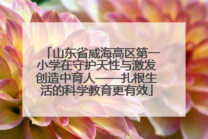 山东省威海高区第一小学在守护天性与激发创造中育人——扎根生活的科学教育更有效