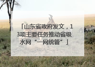 山东省政府发文，13项主要任务推动省级水网“一网统管”