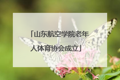 山东航空学院老年人体育协会成立