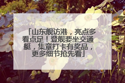 山东舰访港，亮点多看点足！登舰要坐交通艇，集章打卡有奖品，更多细节抢先看