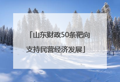 山东财政50条靶向支持民营经济发展