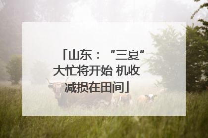 山东：“三夏”大忙将开始 机收减损在田间