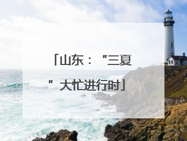 山东：“三夏”大忙进行时