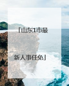 山东1市最新人事任免