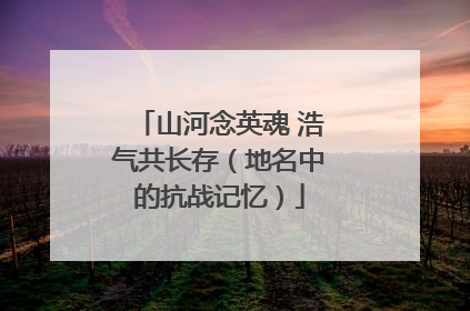 山河念英魂 浩气共长存（地名中的抗战记忆）