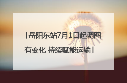 岳阳东站7月1日起调图有变化 持续赋能运输
