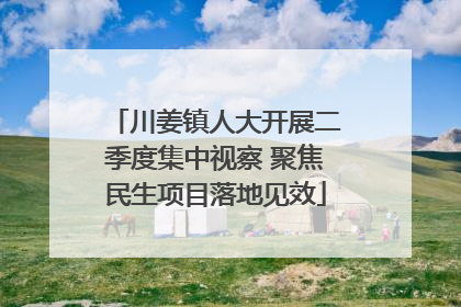 川姜镇人大开展二季度集中视察 聚焦民生项目落地见效