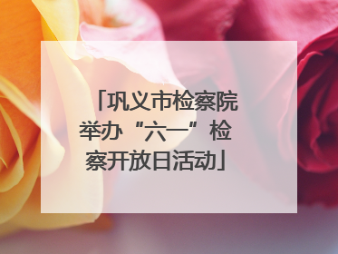 巩义市检察院举办“六一”检察开放日活动