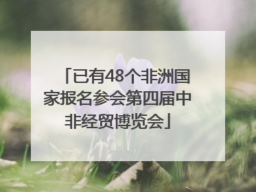 已有48个非洲国家报名参会第四届中非经贸博览会