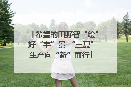 希望的田野智“绘”好“丰”景 “三夏”生产向“新”而行