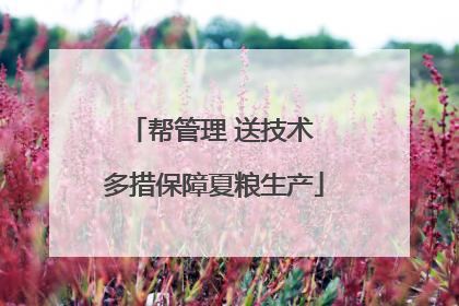 帮管理 送技术 多措保障夏粮生产