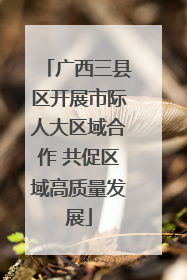 广西三县区开展市际人大区域合作 共促区域高质量发展