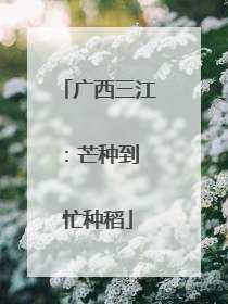 广西三江：芒种到 忙种稻