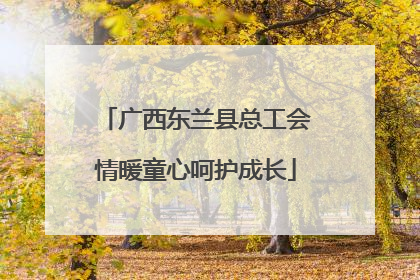 广西东兰县总工会情暖童心呵护成长