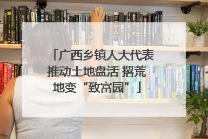 广西乡镇人大代表推动土地盘活 撂荒地变“致富园”