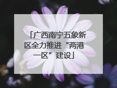 广西南宁五象新区全力推进“两港一区”建设