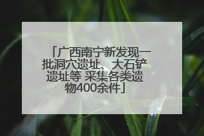 广西南宁新发现一批洞穴遗址、大石铲遗址等 采集各类遗物400余件