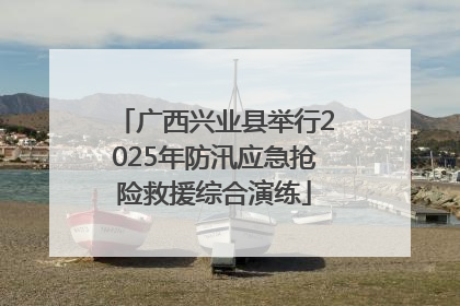 广西兴业县举行2025年防汛应急抢险救援综合演练
