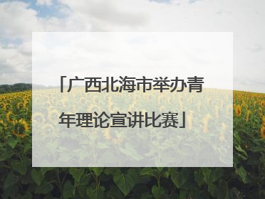 广西北海市举办青年理论宣讲比赛