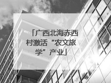 广西北海赤西村激活“农文旅学”产业