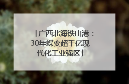 广西北海铁山港：30年蝶变超千亿现代化工业强区