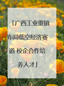 广西工业重镇布局低空经济赛道 校企合作培养人才