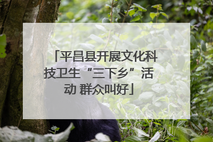 平昌县开展文化科技卫生“三下乡”活动 群众叫好