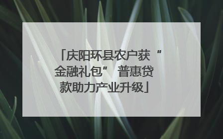 庆阳环县农户获“金融礼包” 普惠贷款助力产业升级